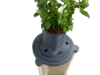 Circularium Pro™ – 8 Gallon 3D Printed Cylinder Aquarium