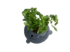 Circularium Pro™ – 8 Gallon 3D Printed Cylinder Aquarium