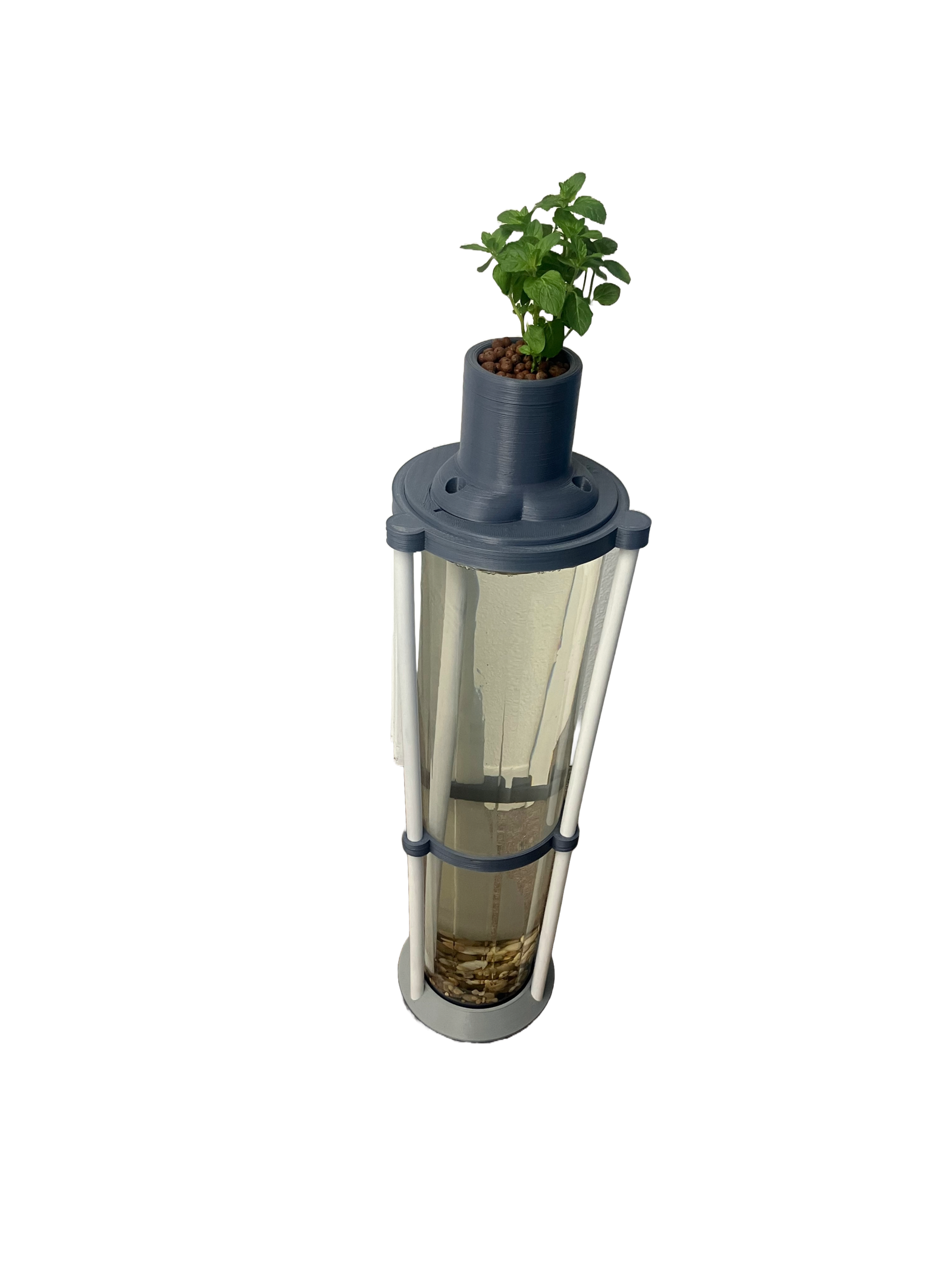 Circularium Pro™ – 8 Gallon 3D Printed Cylinder Aquarium